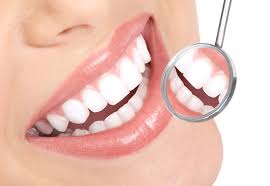 Dental & Vision