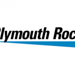 plymouth-rock_4
